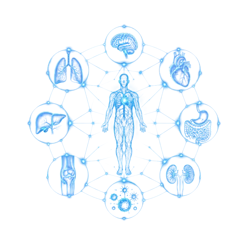 How Does MetaBurn™  Works?