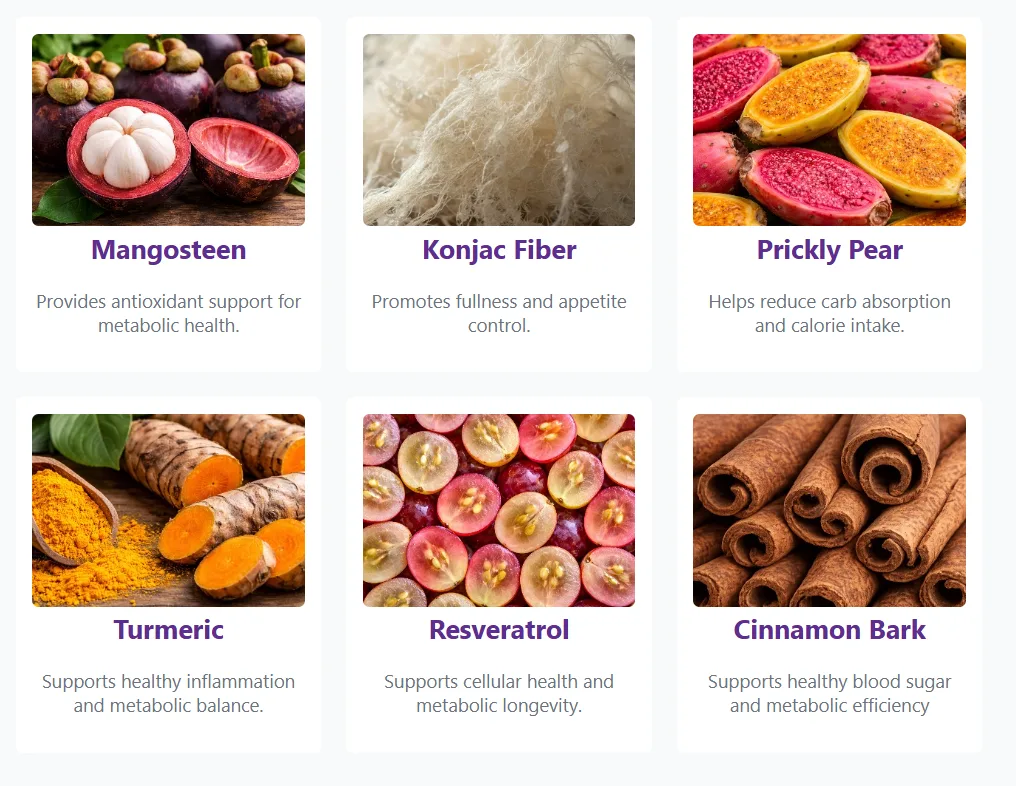 MetaBurn Ingredients